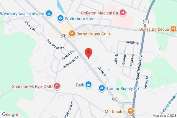 AutoZone Auto Parts