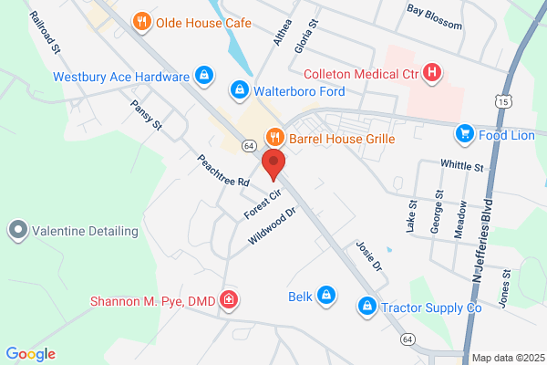 Dixie Auto Parts