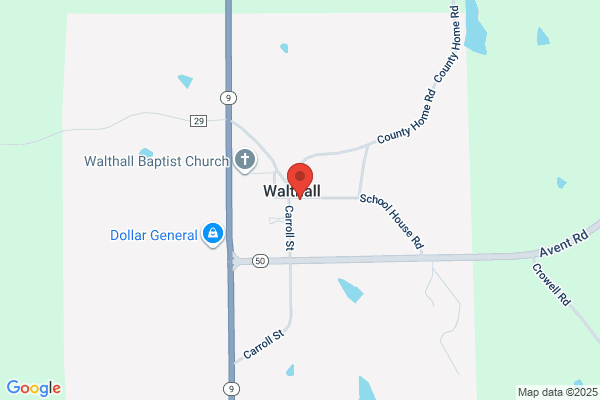 Village of Walthall