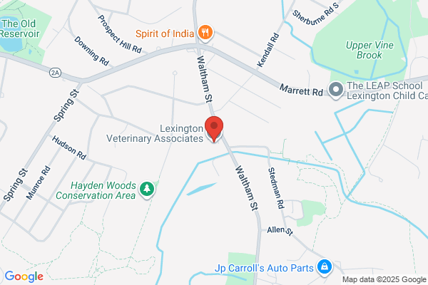 Lexington Veterinary Associates