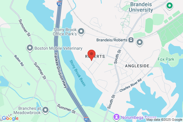 A Bonadio & Sons