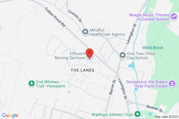 Efficient Moving Services