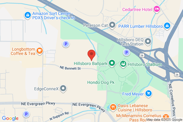 Planar Systems Inc