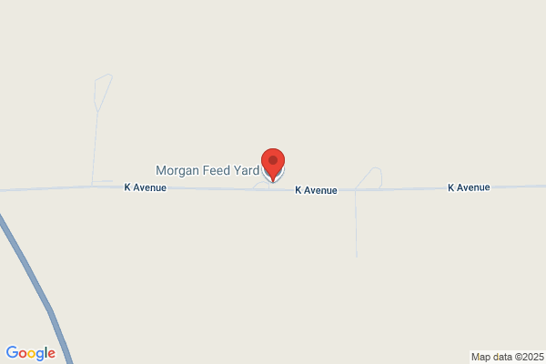 Morgan Feed Lot