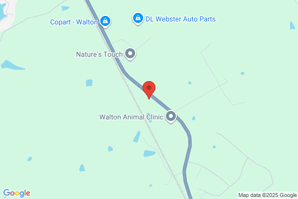 Walton Imported Motors