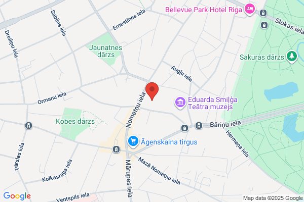 Rigas Transportation Service