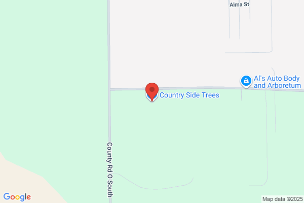 Country Side Trees