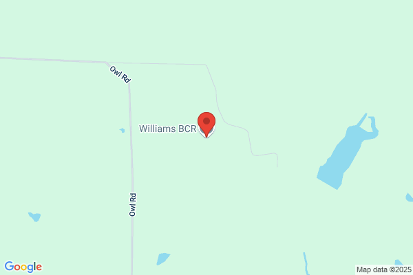 Williams Bcr
