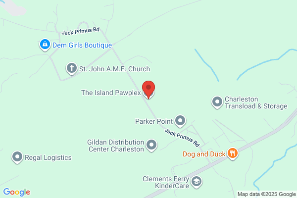 The Island Pawplex