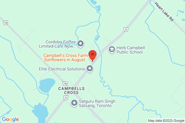 Campbell Farm the