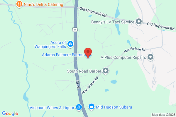 Adams Wappinger