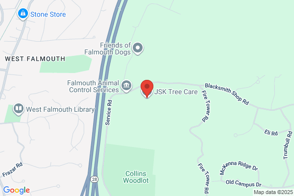 Davey Tree Expert Company
