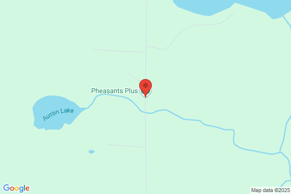 Pheasants Plus