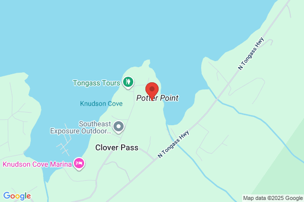 Mr. Fun Tours in Alaska