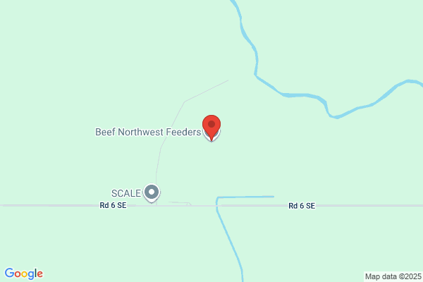 Coulee Cattle Feeders