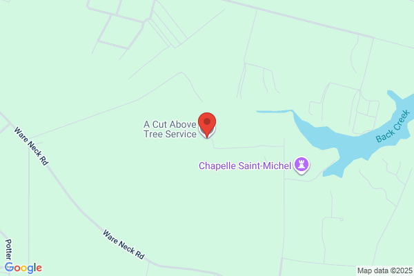 A  Cut Above Tree Service