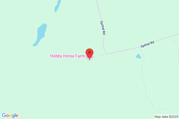 Hobby Horse Farm