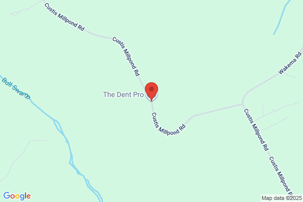 The Dent Pro