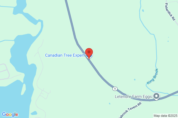 Canadian Tree Expert Co Inc