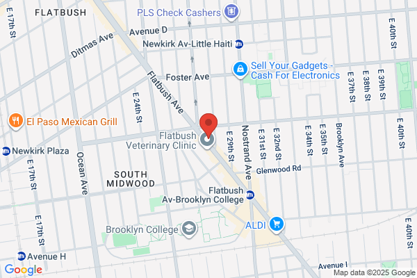 One Price Dry Cleaners