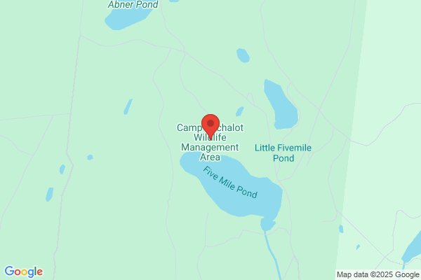 Camp Cachalot