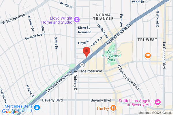 An Empty Vase