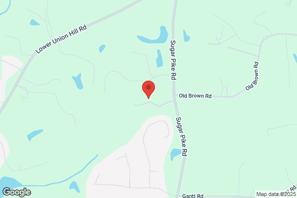 Dixieland Farms