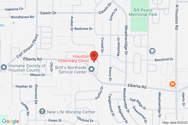 Houston Veterinary Clinic