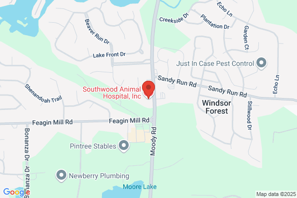 Southwood Animal Hospital