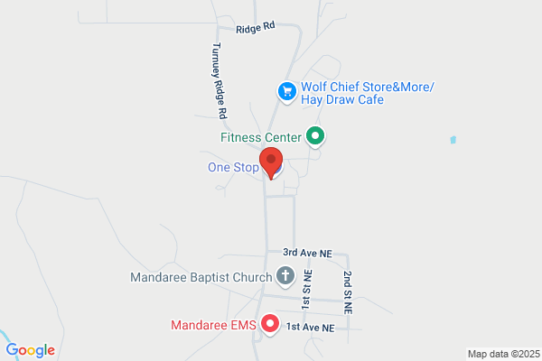 Mandaree Enterprises Inc