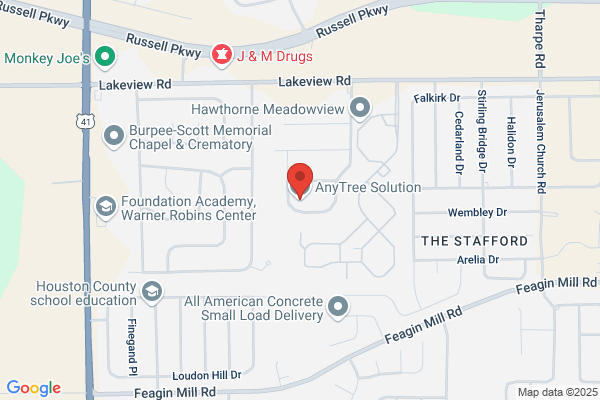 AnyTree Solution