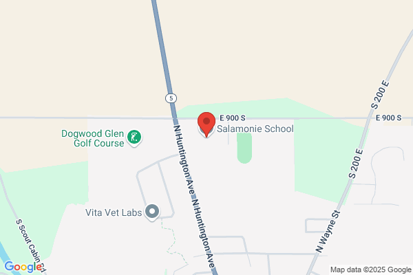 Salamonie School
