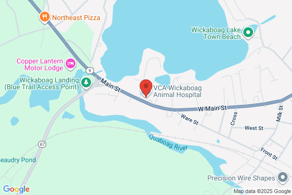 VCA Wickaboag Animal Hospital