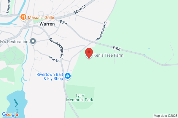 Ken's Tree Service & Land Clearing Service