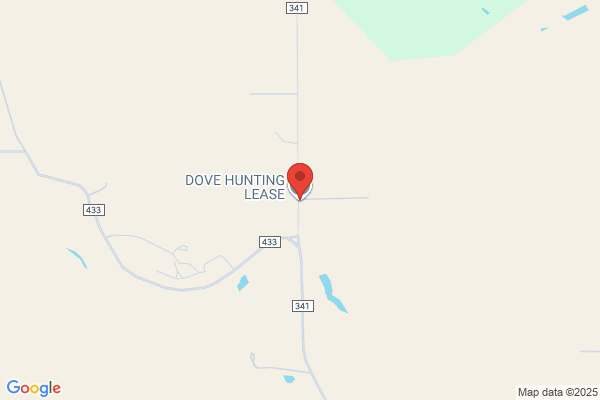 Dove Leasing Inc