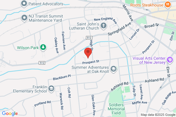 Action  Tree Service