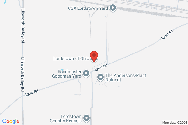 Lordstown Auction