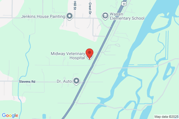 Midway Veterinary Hospital