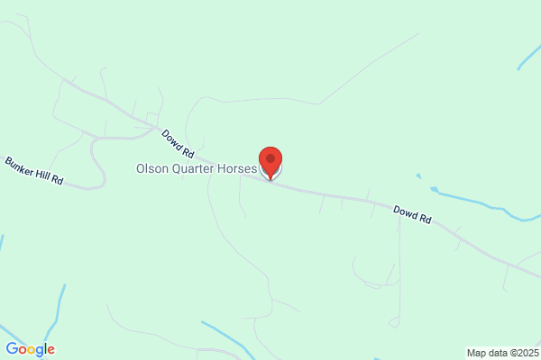 Olson Quarter Horses