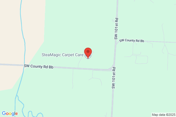 Steamagic Carpet Care