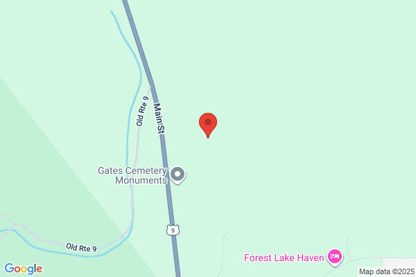 Adirondack Real Estate Llc