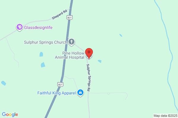 Pine Hollow Animal Hospital