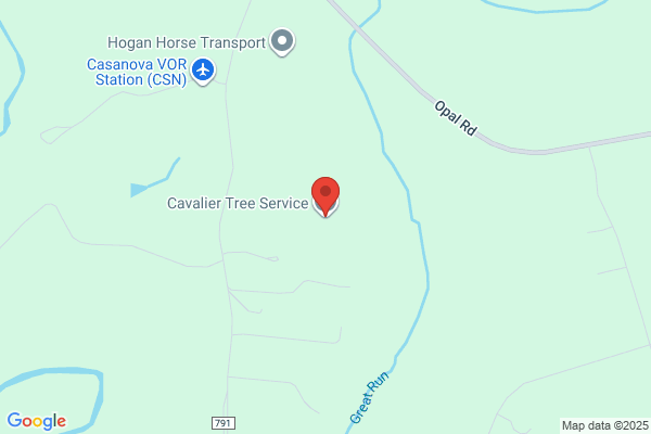 Cavalier Tree Service