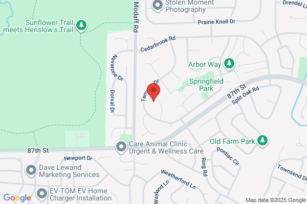 Meadows Electric Inc