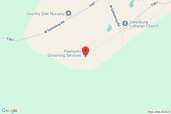 5 Springs Dog Grooming