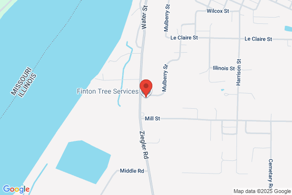 Finton Tree Service