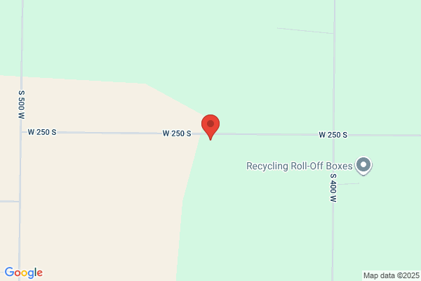 Rick's Electronics Inc