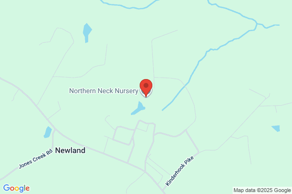 Northern Neck Nursery