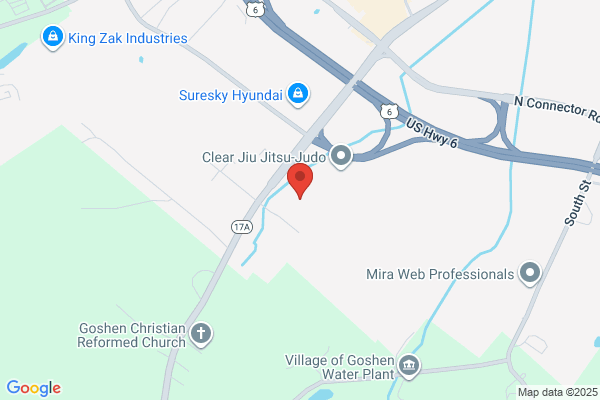 Wolfson Martin Dr