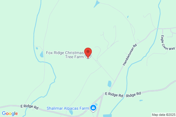 Fox Ridge Christmas Tree Farm